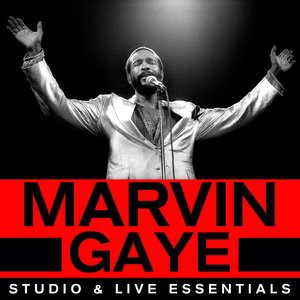 Marvin Gaye 52