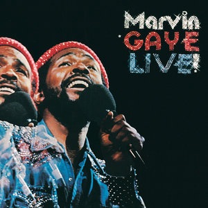 Marvin Gaye 47