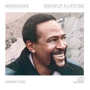 Marvin Gaye 43