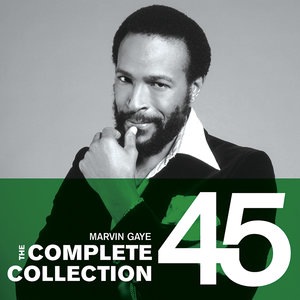 Marvin Gaye 35