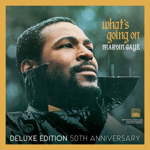 Marvin Gaye 32