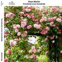 If You Were the Only Girl in the World