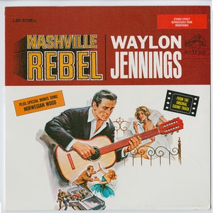 Waylon Jennings 65