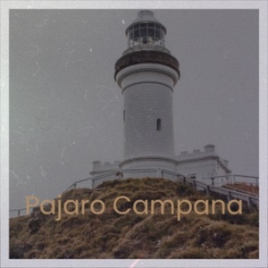 It's Too Late to Cry