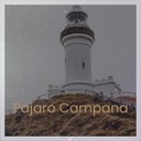 It's Too Late to Cry