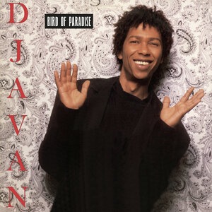 Djavan 33