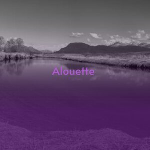 Every Man Should Marry