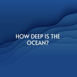 Just Call Me (And I'll Understand)