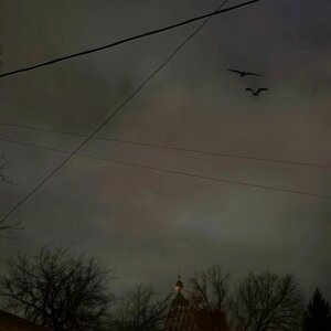 Черные Вороны (Не До Абстракций II)