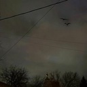 Черные Вороны (Не До Абстракций II)