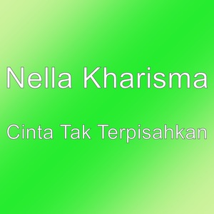 Nella Kharisma 87