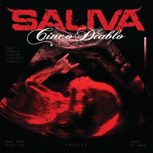 Saliva 13