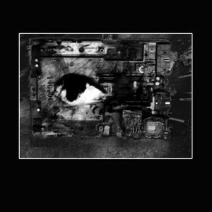 In the Heart of Europe