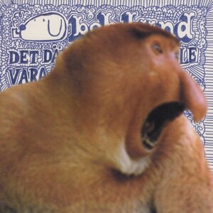 Det där nya som skulle vara så bra