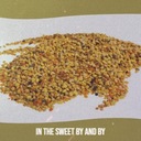 Girl Next Door Went a'Walking