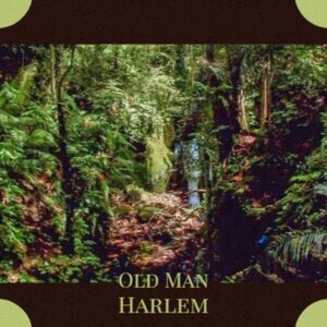 (Let's Have A) Party