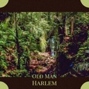 (Let's Have A) Party