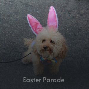 If Every Day Was Like Christmas