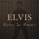 The Girl Next Door Went a-Walking