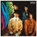 Don't Want You Woman