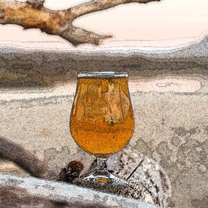 The Flowers, The Sunset, The Trees