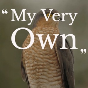 The Brothers Four 44