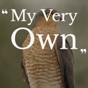 Green Leaves of Summer