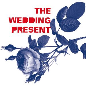 The Wedding Present 24
