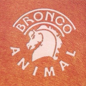Bronco 14