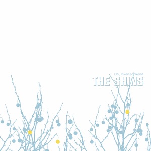 The Shins 19