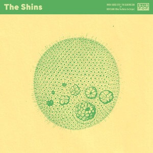 The Shins 18