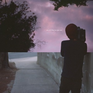 a dog with blood in its mouth