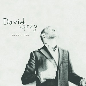 David Gray 20