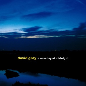 David Gray 13