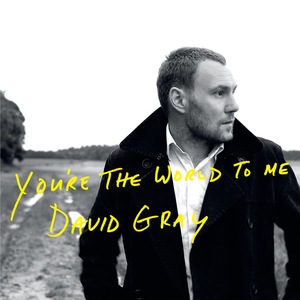 David Gray 12