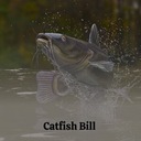 If My Heart Had Windows