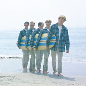 The Beach Boys 111