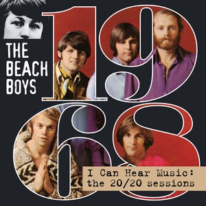 The Beach Boys 94