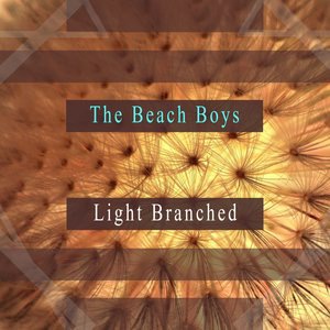 The Beach Boys 82