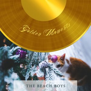 The Beach Boys 78