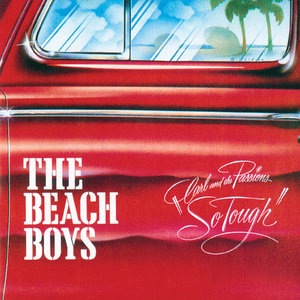 The Beach Boys 53