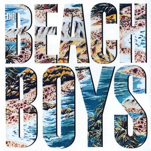 The Beach Boys 50