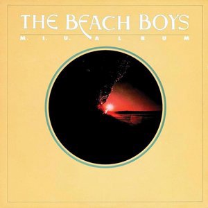 The Beach Boys 45