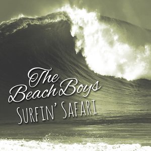 The Beach Boys 43