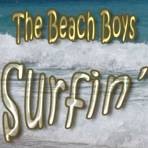 The Beach Boys 40