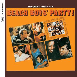 The Beach Boys 32