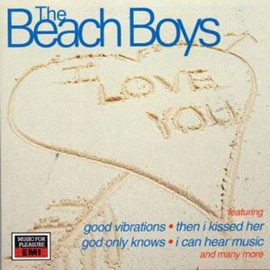 The Beach Boys 20