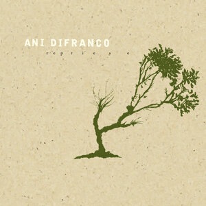 Ani DiFranco 25