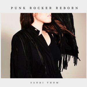 I Wish I Was a Punk Rocker (Reborn)