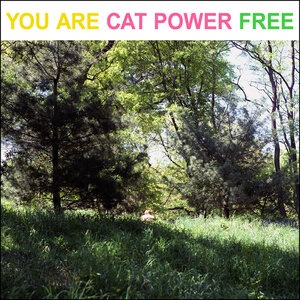 Cat Power 11